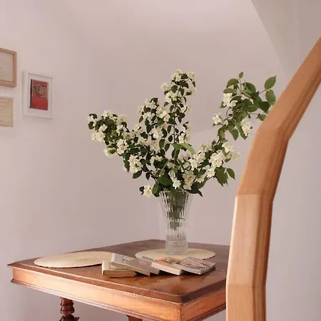 Country house Tio Samuel