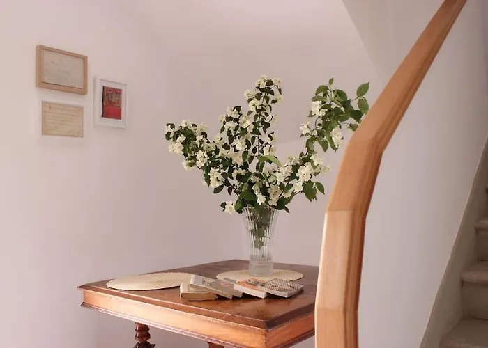 Casa de Campo Tío Samuel