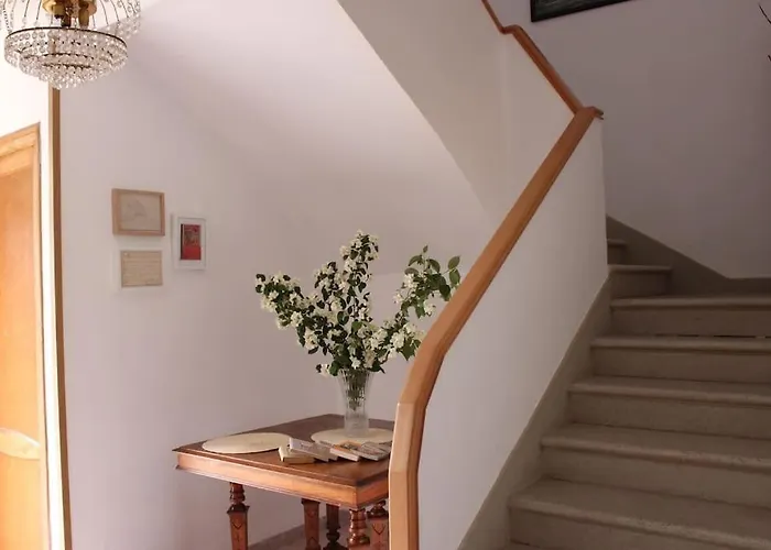 Casa de Campo Tío Samuel *